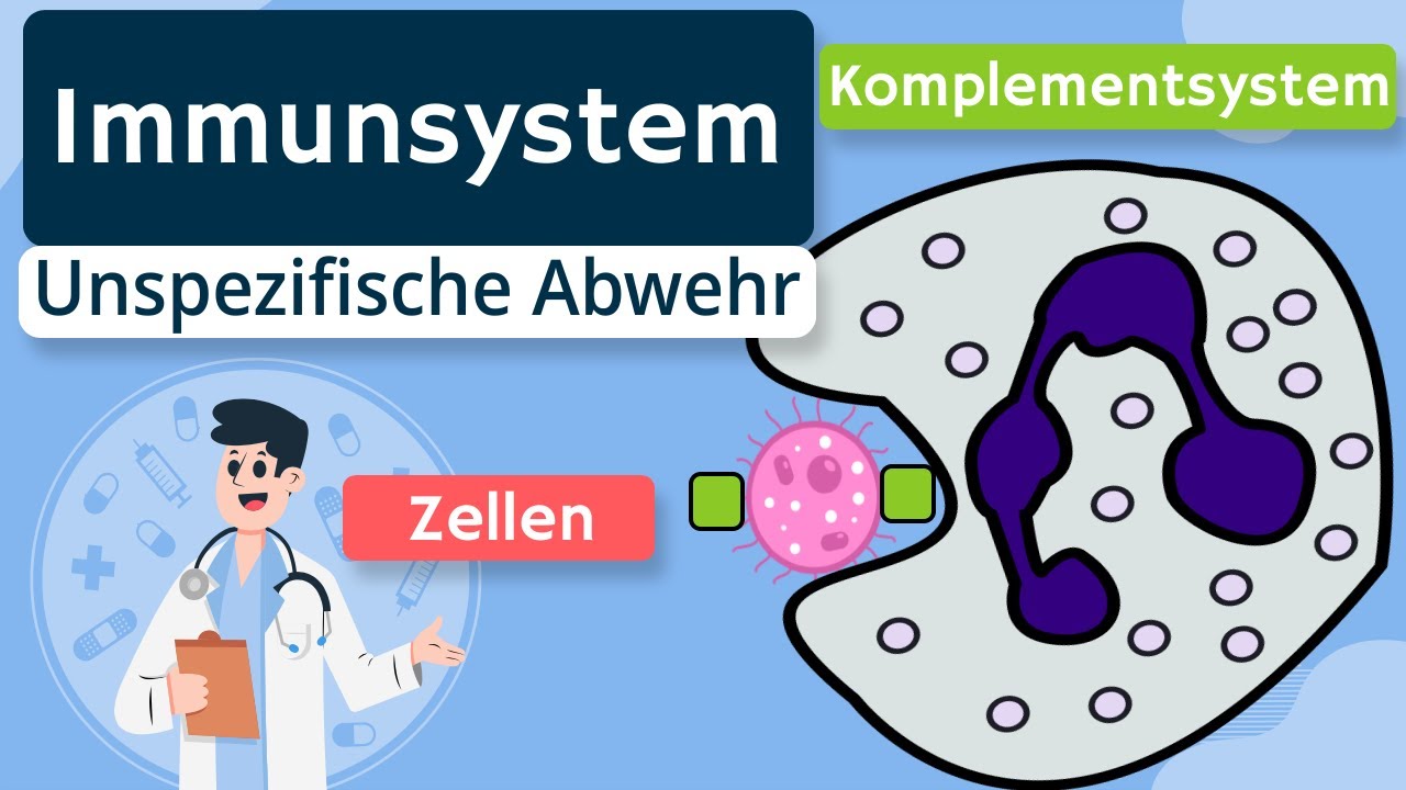 Wie Stress das Immunsystem schwächt und was man dagegen tun kann